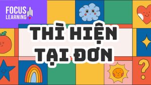 thi_hien_tai_don