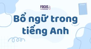 bo-ngu-trong-tieng-anh