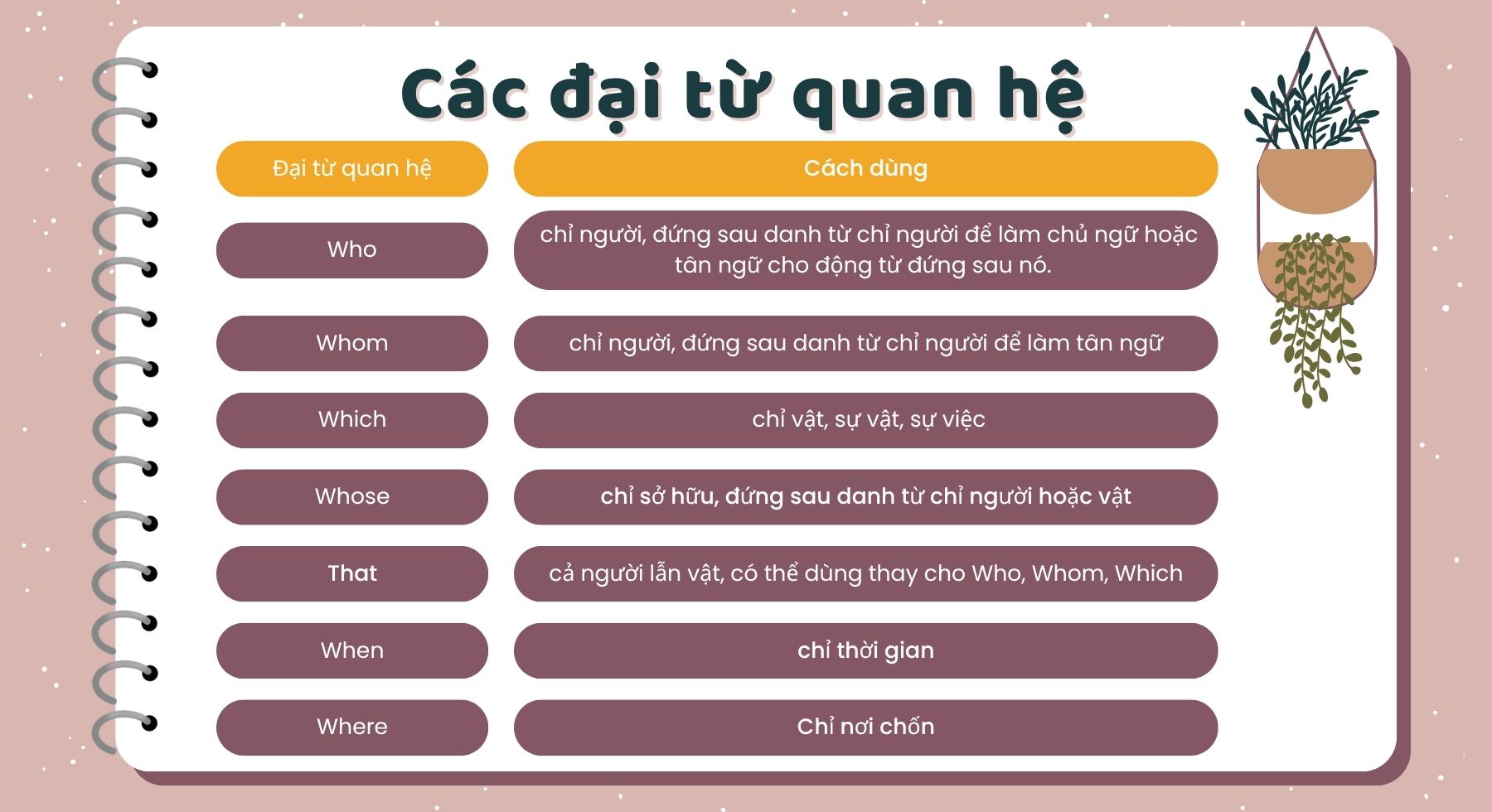 dai-tu-menh-de-quan-he
