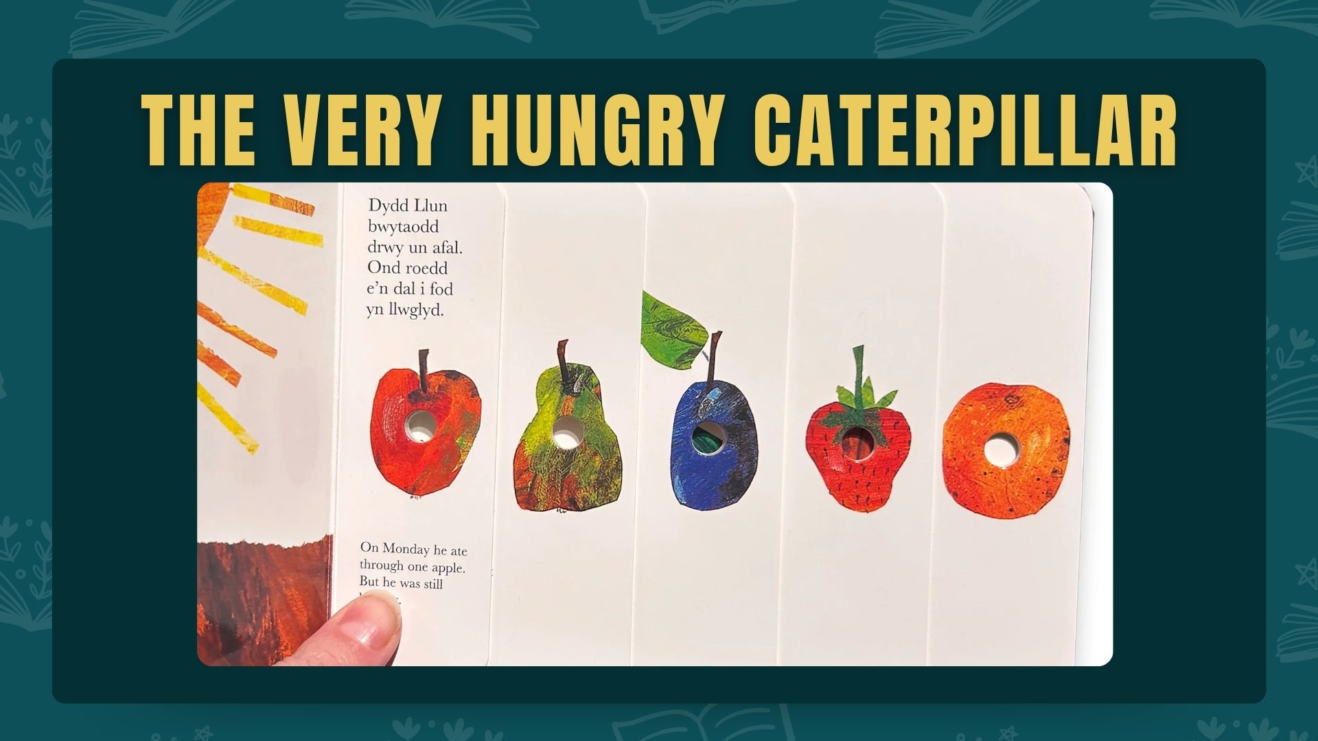 the-very-hungry-caterpillar