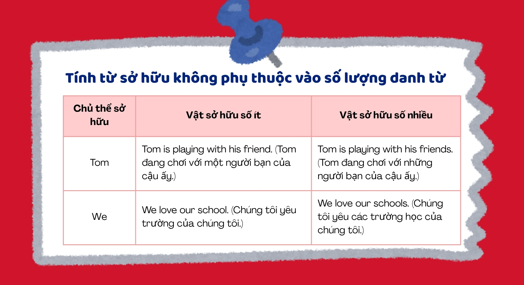 tinh-tu-so-huu-trong-tieng-anh-khong-phu-thuoc-so-luong-danh-tu